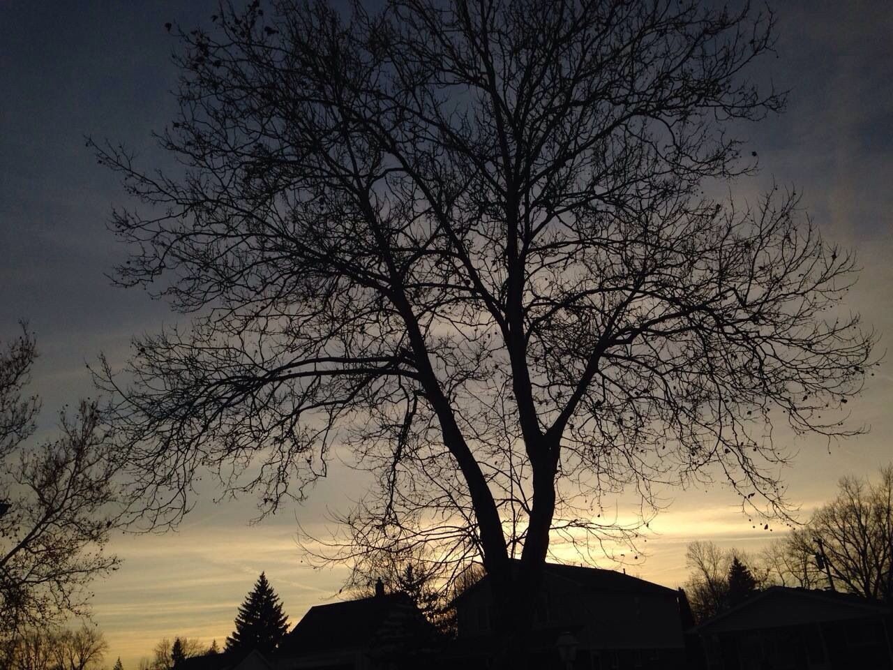 Silhouette of farmhouse at sunset