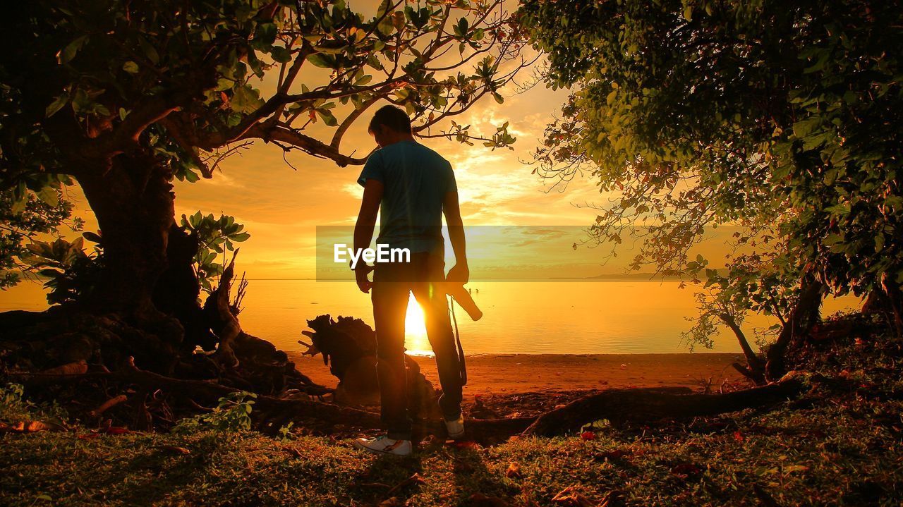 Rear view of man holding camera while standing amidst trees during sunset
