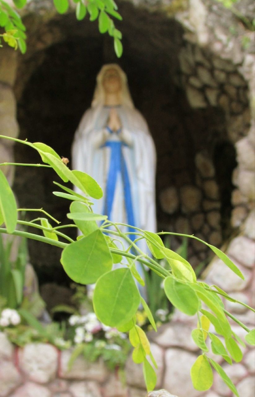 CLOSE-UP OF STATUE AGAINST BLURRED PLANTS