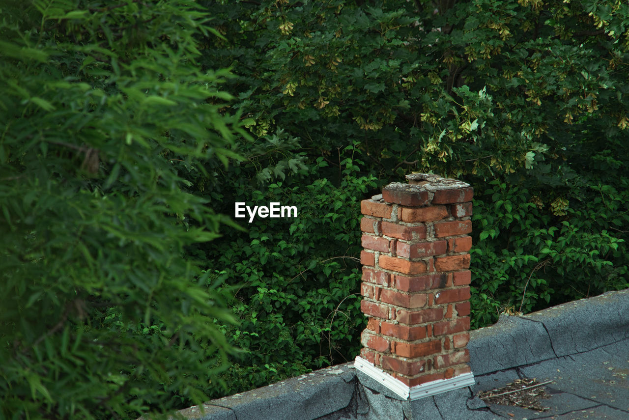 STACK OF STONE WALL BY PLANTS AND BUILDING