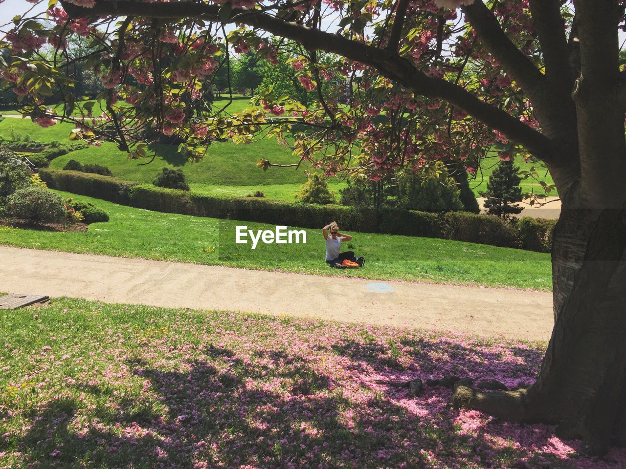 Woman sitting on grassy field by trees at park