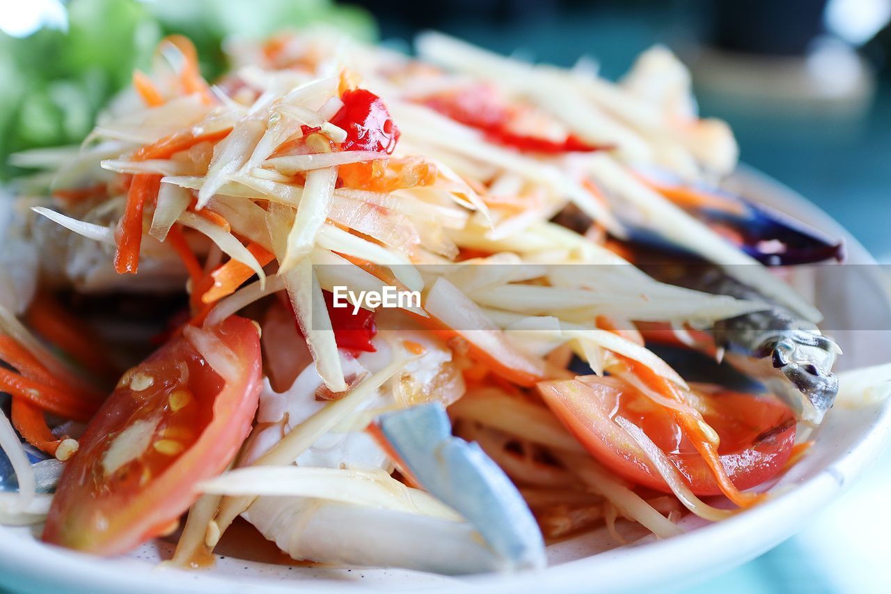 CLOSE-UP OF FRESH SALAD IN PLATE