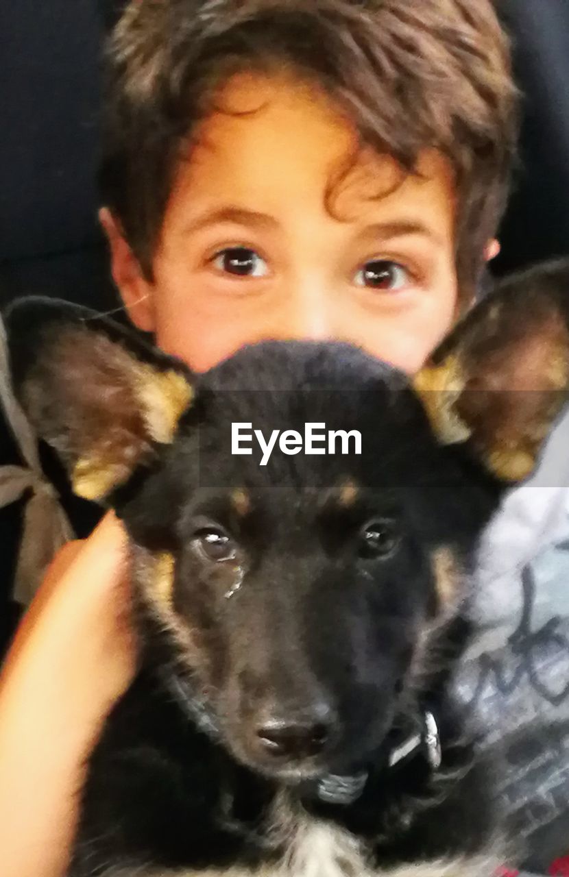 CLOSE-UP PORTRAIT OF CUTE DOG WITH BABY