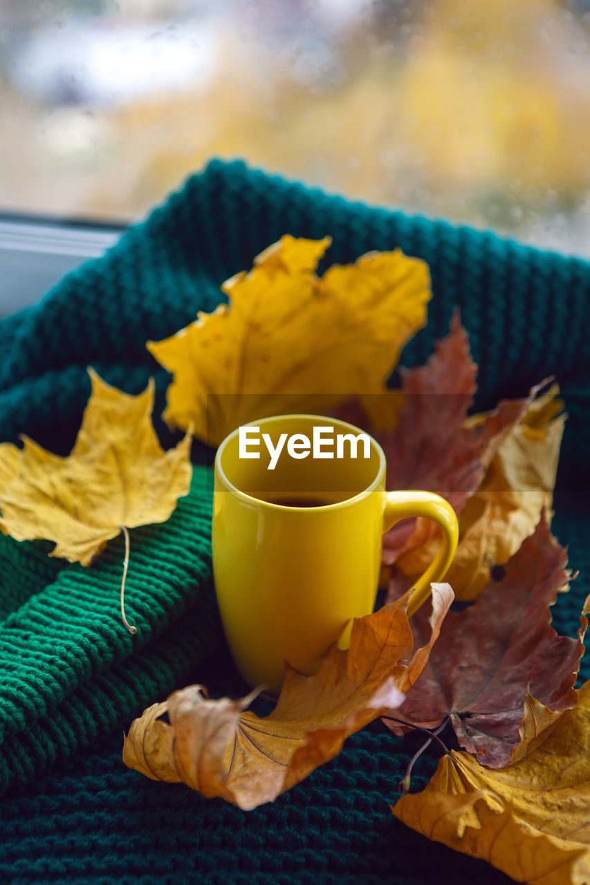 Yellow mug with tea and yellow maple leaves stands on a white window in autumn