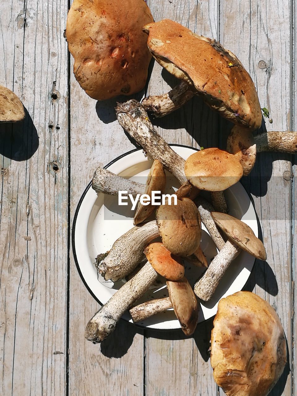 High angle view of mushrooms on table