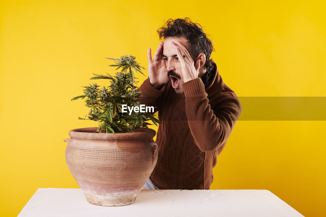 A young man surprised next to a marijuana plant with a yellow background