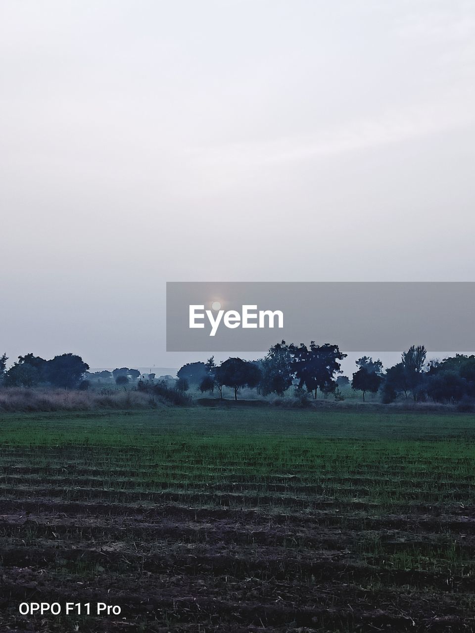 SCENIC VIEW OF AGRICULTURAL LANDSCAPE AGAINST SKY