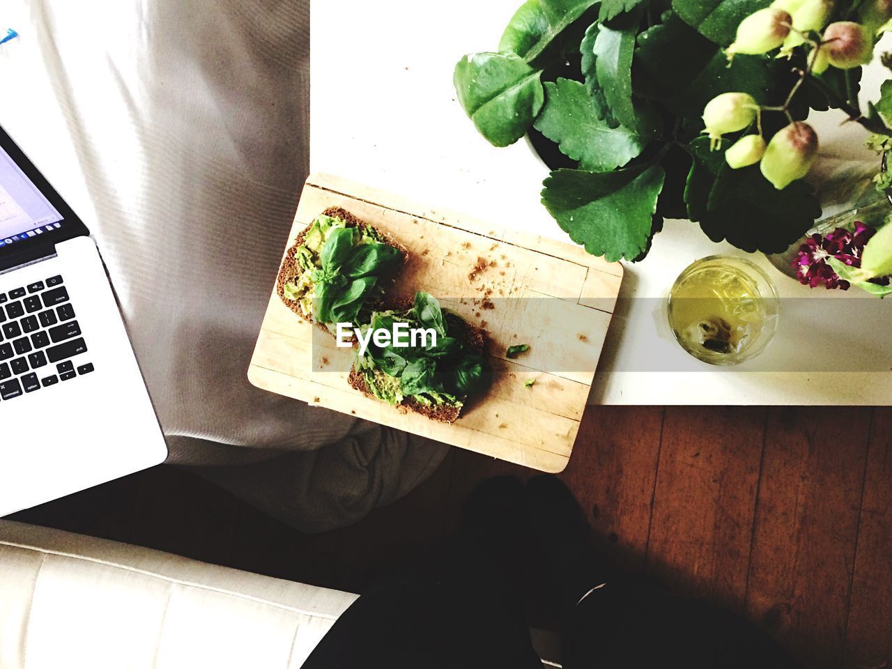 Directly above shot of avocado toast and drink by potted plant on table
