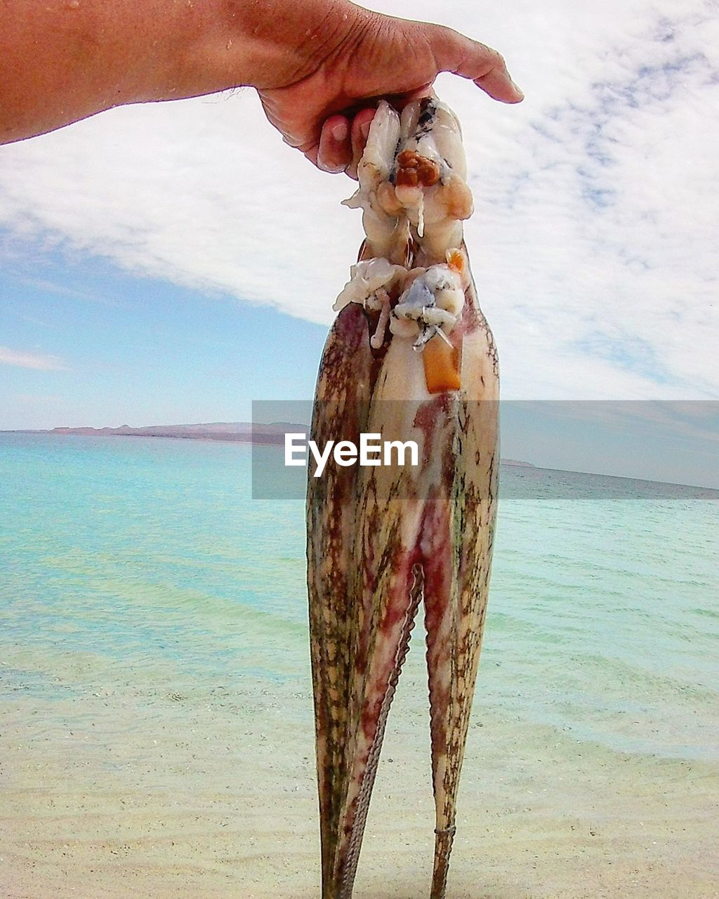 MAN HOLDING FISH AT BEACH AGAINST SKY