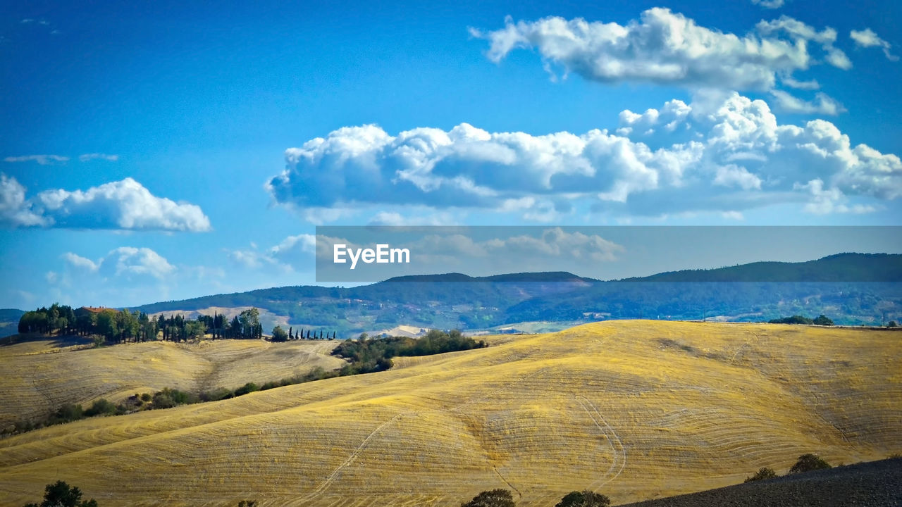 Scenic view of field against blue sky