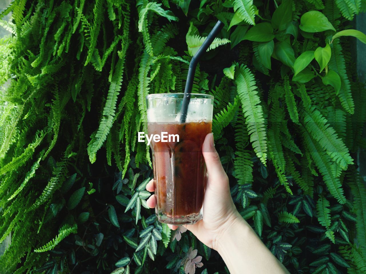 Hand holding drink against plants