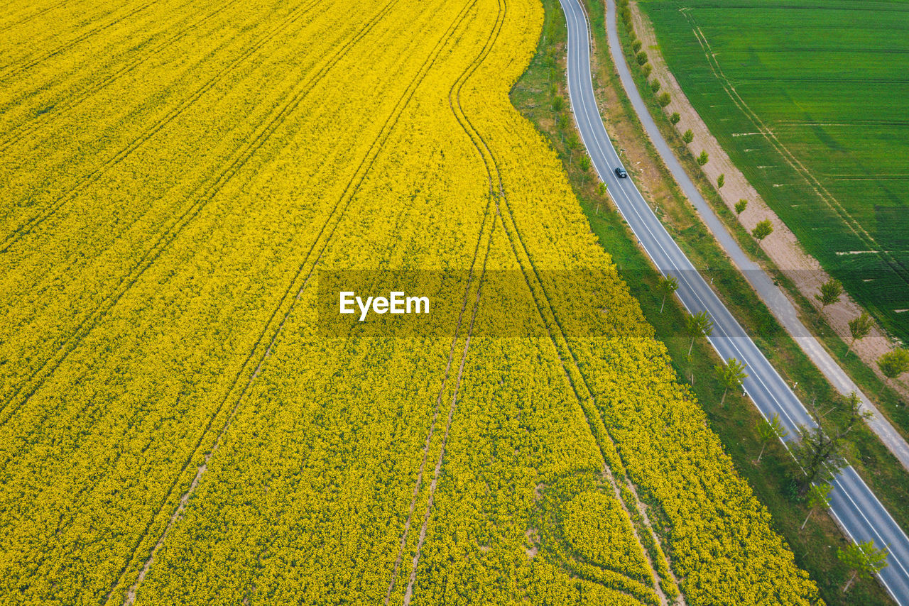 High angle view of an autonomous car driving next to a yellow field