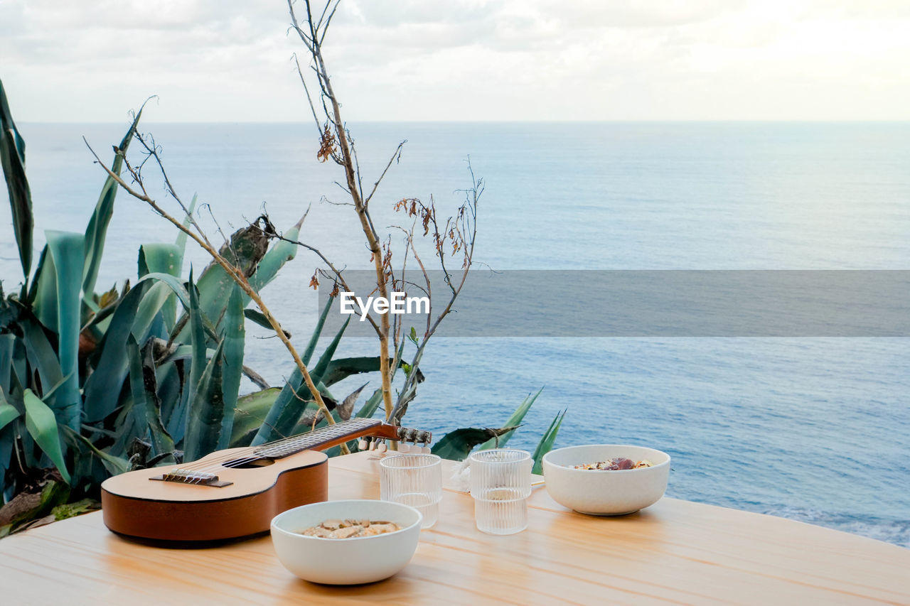 potted plant by sea against sky