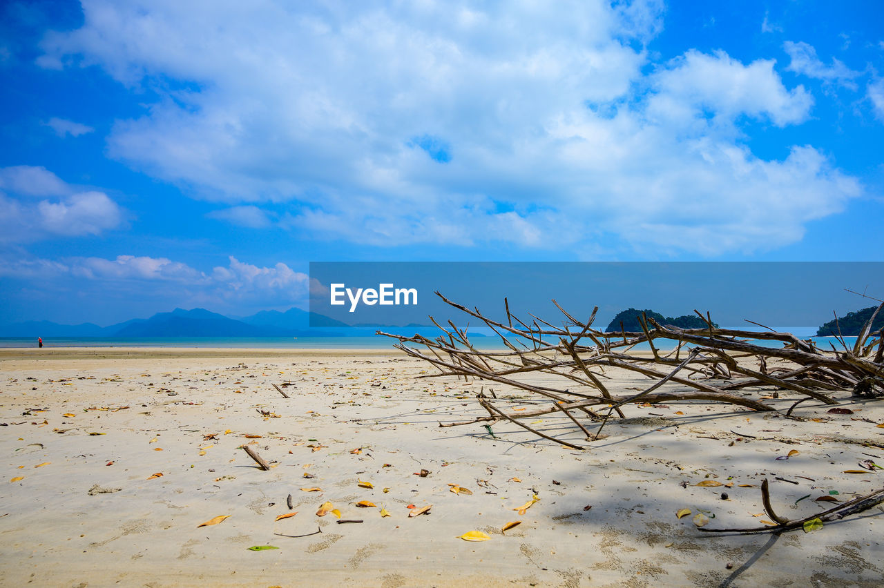 Scenic view of beach against sky