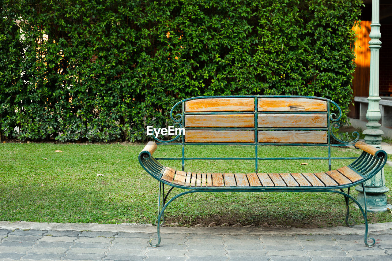 EMPTY BENCH IN PARK AGAINST GREEN PLANTS