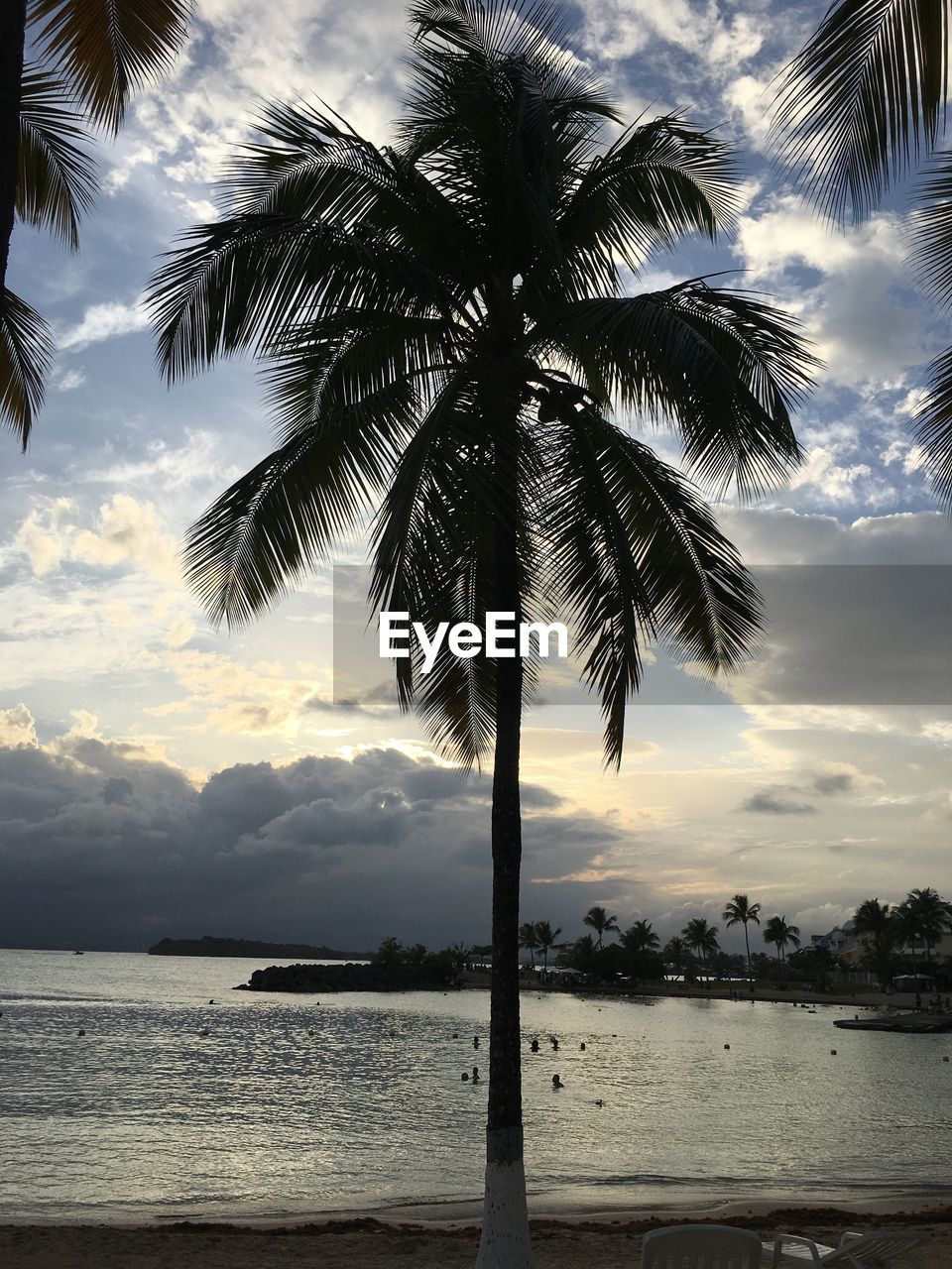 SILHOUETTE PALM TREE AT BEACH AGAINST SKY