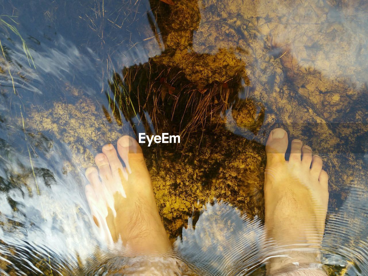 Low section of person standing in stream