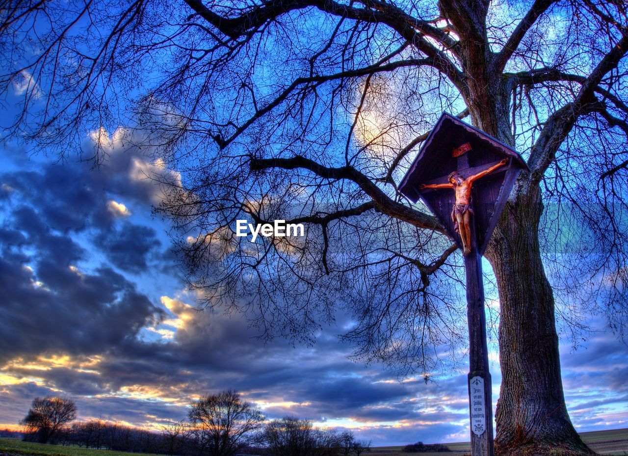 LOW ANGLE VIEW OF ILLUMINATED BARE TREES AGAINST SKY