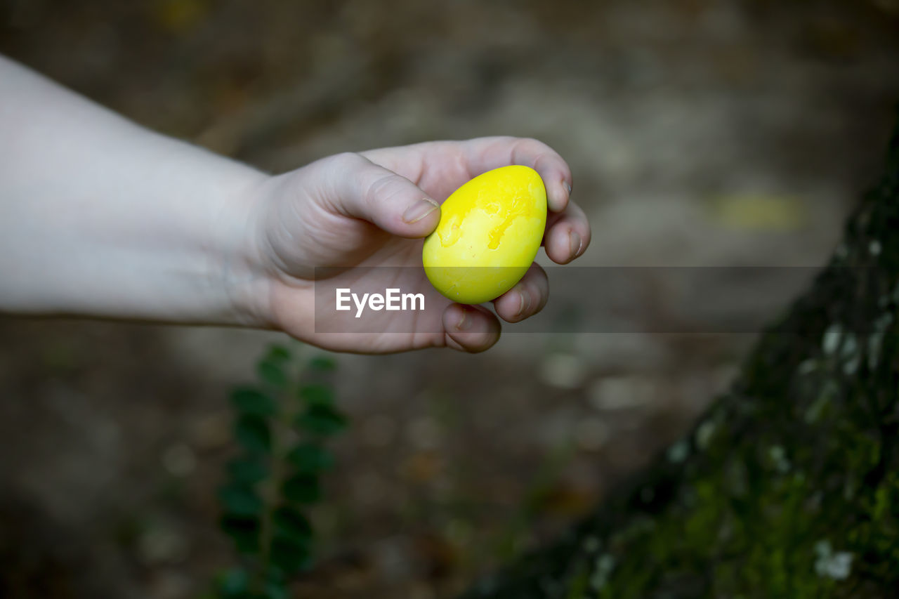 Woman holding a yellow easter egg near a tree trunk