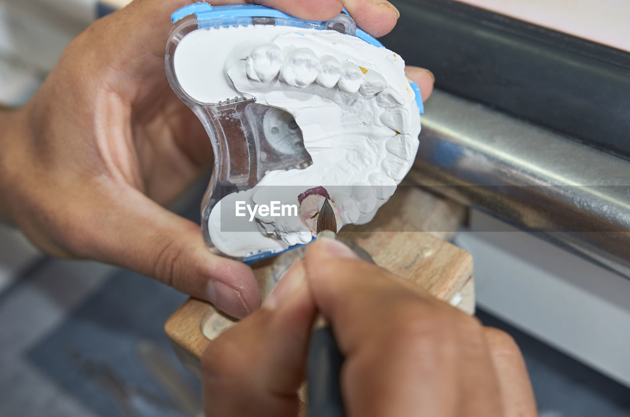 Cropped image of dentist using paintbrush while holding dental mold