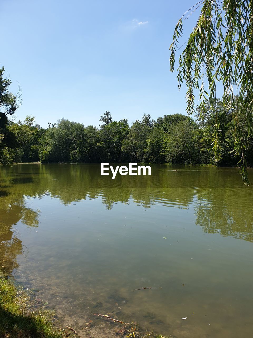 REFLECTION OF TREES IN LAKE AGAINST SKY