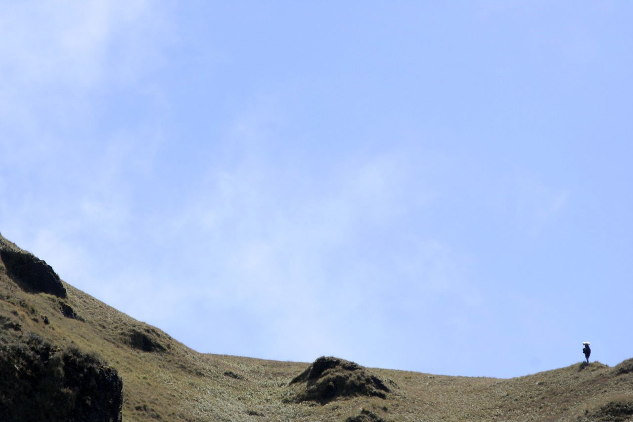 LOW ANGLE VIEW OF A HORSE ON DESERT