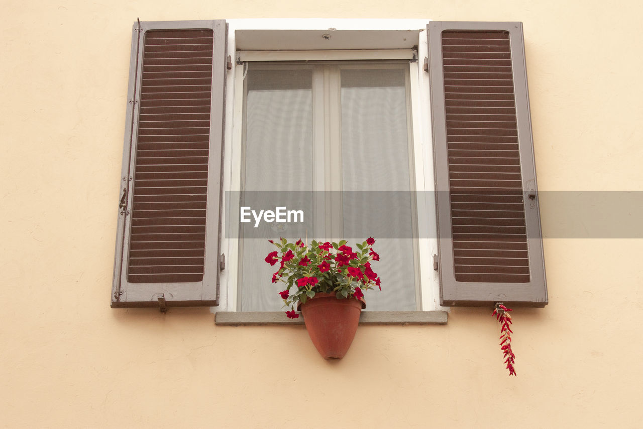 LOW ANGLE VIEW OF POTTED PLANT ON WINDOW SILL AGAINST BUILDING