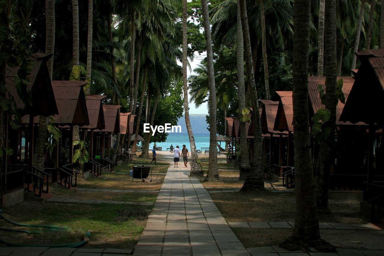 People standing on footpath amidst palm trees