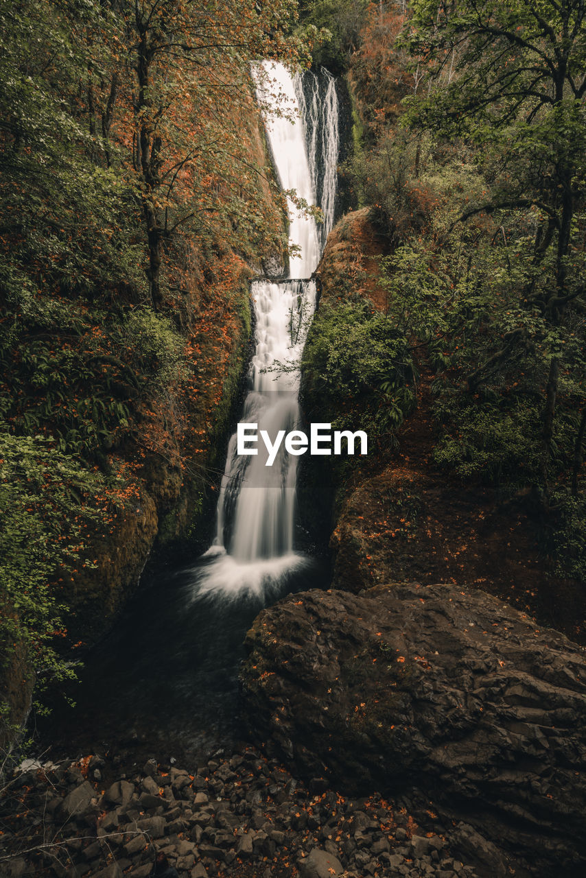waterfall, tree, long exposure, scenics - nature, water, forest, beauty in nature, motion, plant, nature, flowing water, land, autumn, water feature, blurred motion, rock, body of water, environment, no people, flowing, non-urban scene, wilderness, day, outdoors, woodland, stream, growth, leaf, falling, river, idyllic, power in nature, splashing, rock formation, natural environment, tranquility, rainforest