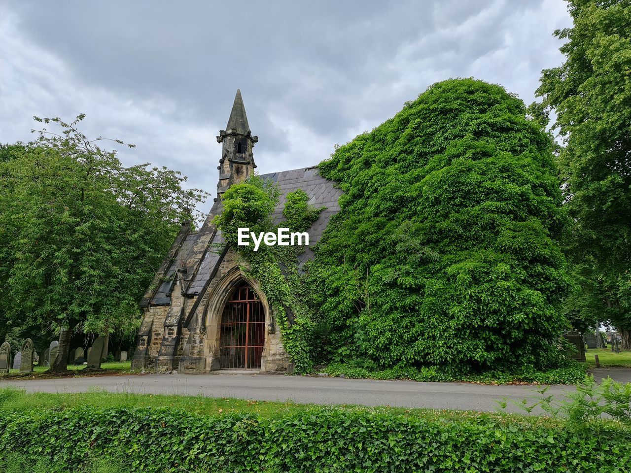 Scenic view of trees and building against sky