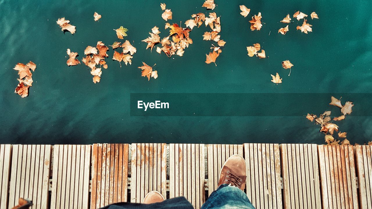 Low section of man standing on boardwalk by fallen leaves floating on lake