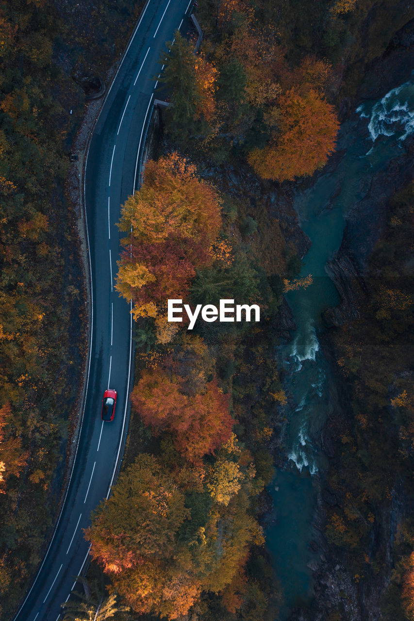 High angle view of road amidst trees during autumn