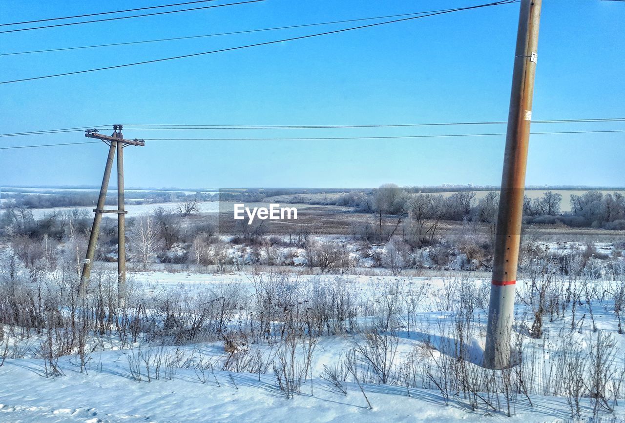 Trees on snow covered landscape