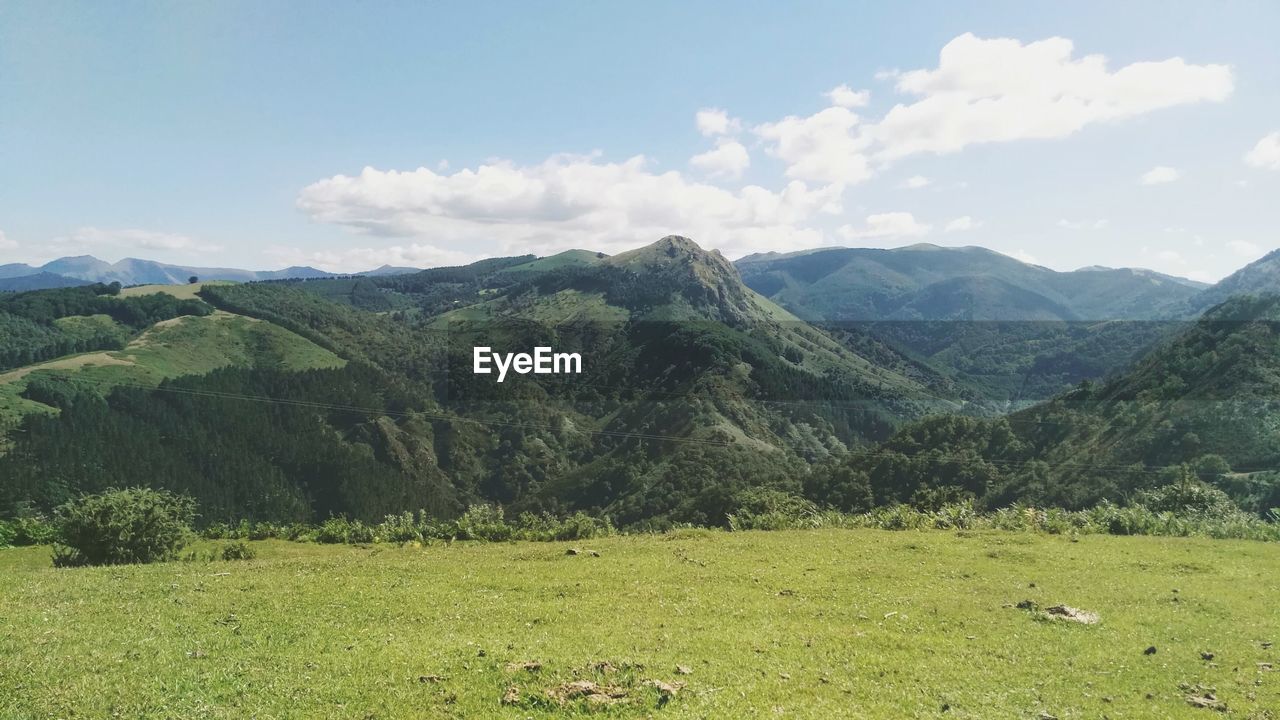 Landscape with mountain range in background