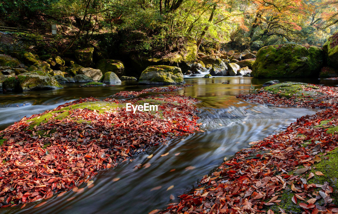 SCENIC VIEW OF WATERFALL IN AUTUMN