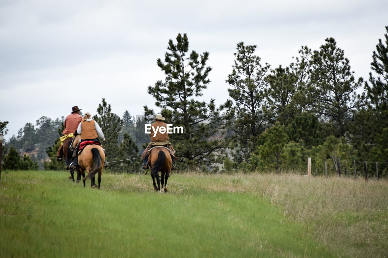 Rear view of people riding horse on grassy field
