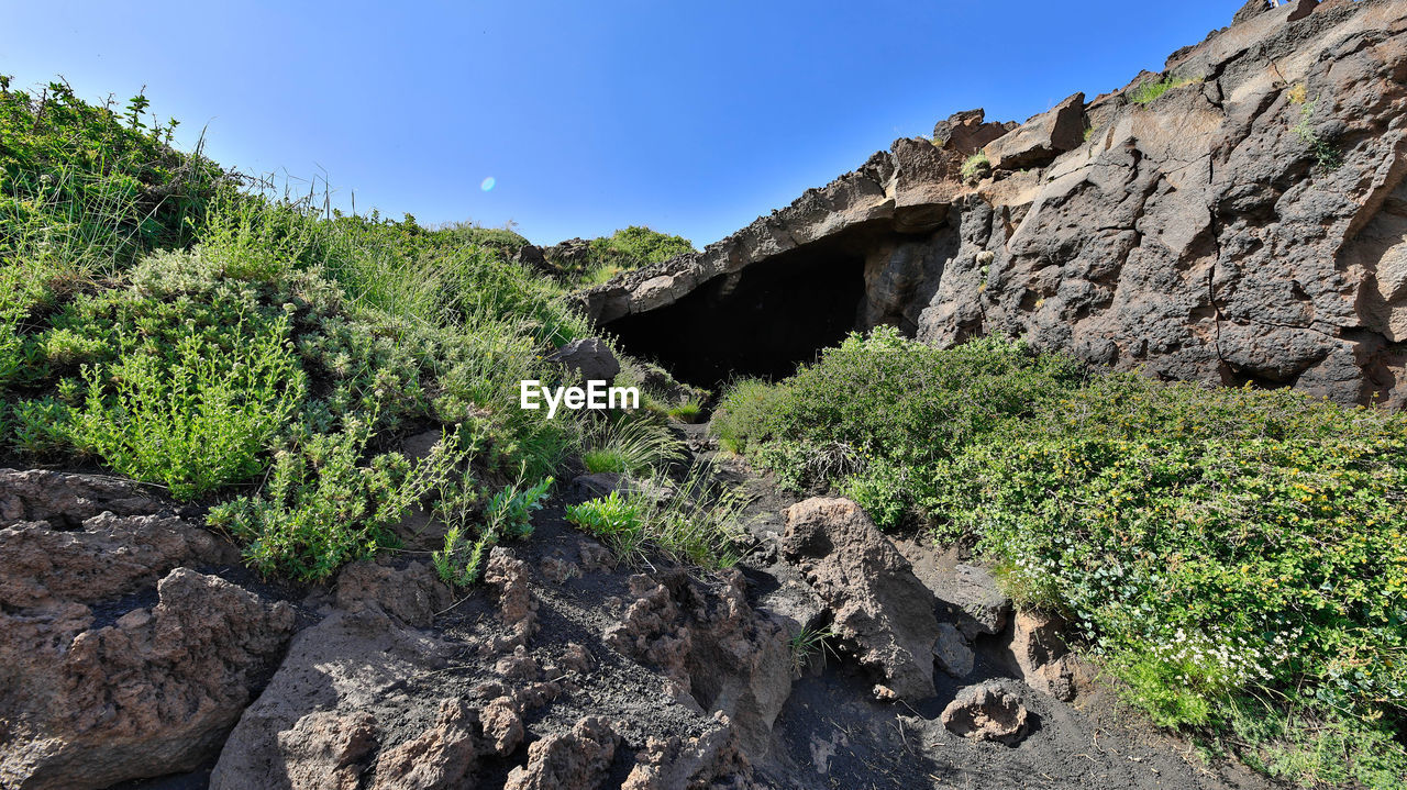 plant, nature, sky, rock, tree, environment, landscape, land, scenics - nature, beauty in nature, mountain, terrain, cliff, travel destinations, no people, clear sky, travel, geology, non-urban scene, valley, adventure, tranquility, rock formation, coniferous tree, blue, outdoors, ridge, pine tree, sunny, pinaceae, wilderness, tourism, walking, pine woodland, day, forest, tranquil scene, sunlight, wadi, mountain range, animal wildlife, outdoor pursuit, growth, trail, green, cloud, extreme terrain