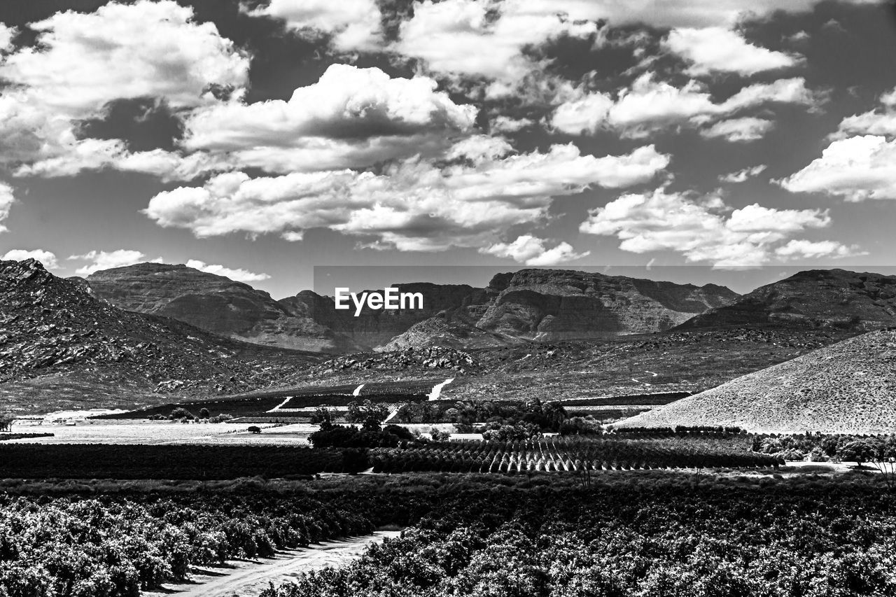 landscape, mountain, environment, scenics - nature, black and white, sky, cloud, beauty in nature, nature, mountain range, monochrome photography, land, monochrome, rural scene, agriculture, tranquil scene, day, tranquility, no people, field, plant, farm, outdoors, non-urban scene, rural area, horizon, crop, growth, idyllic, travel