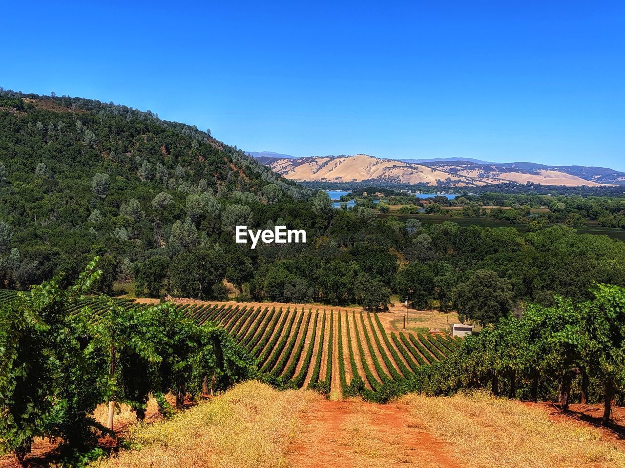 Scenic view of volcanic mountains and vineyard against blue sky