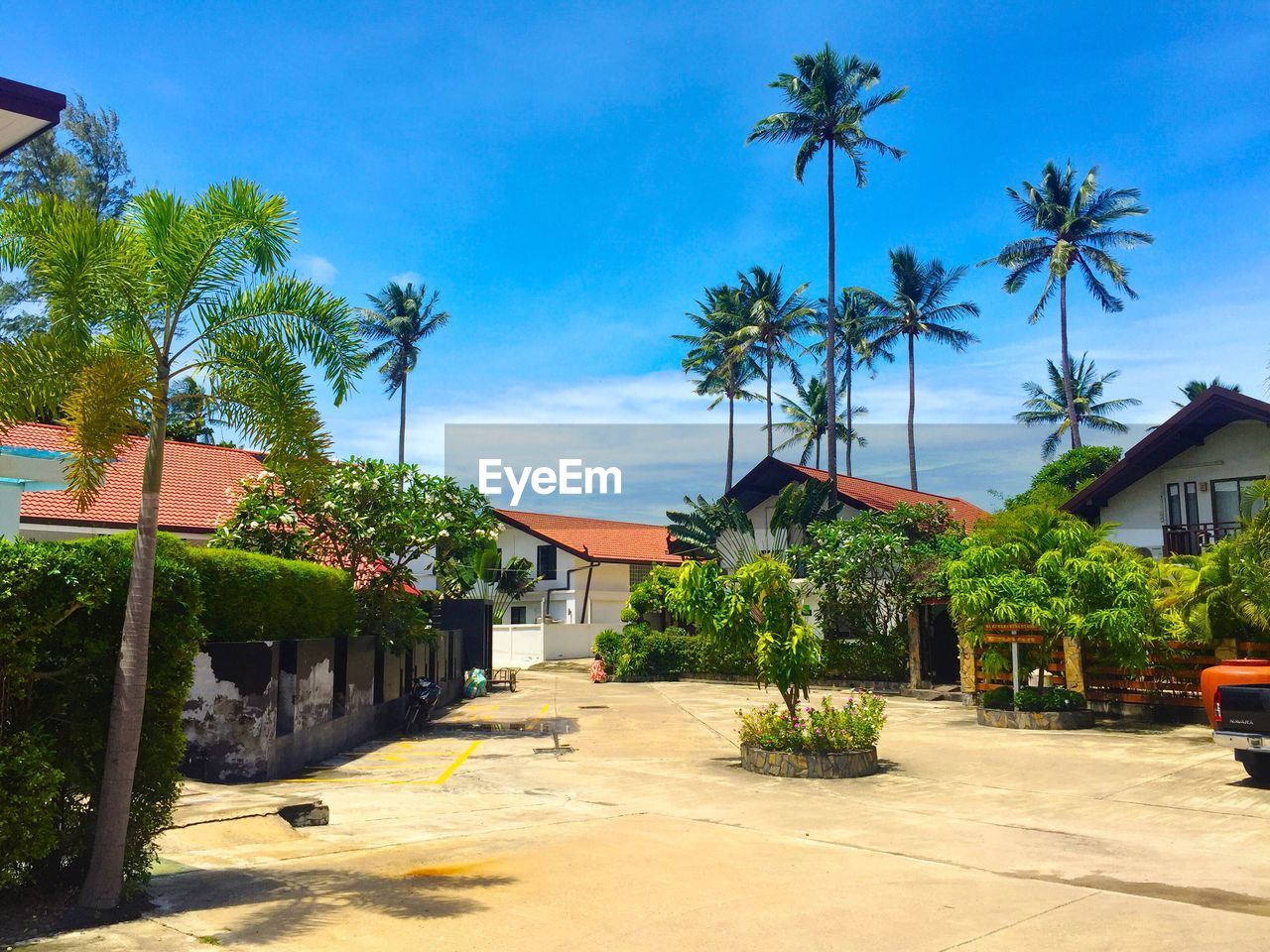 PALM TREES BY HOUSE AGAINST BLUE SKY