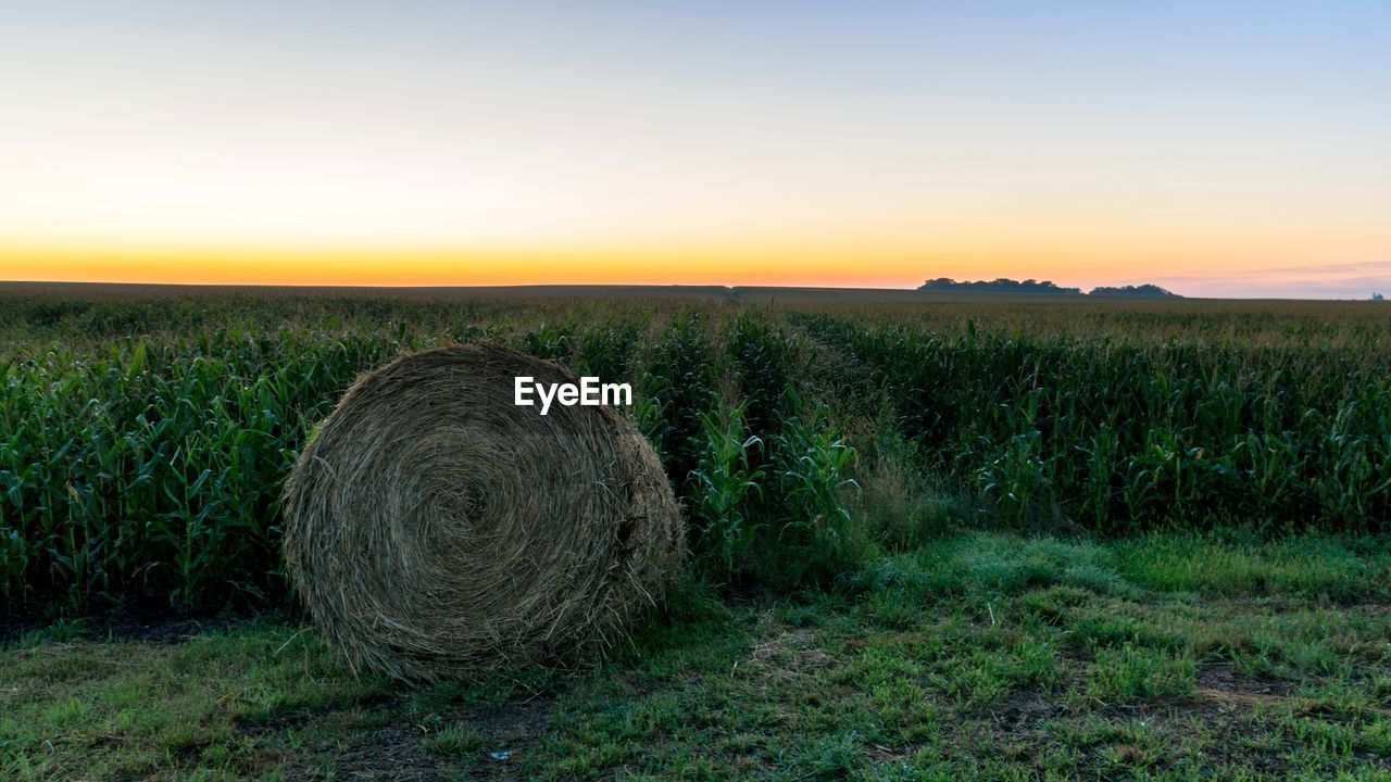 HAY BALES ON FIELD DURING SUNSET