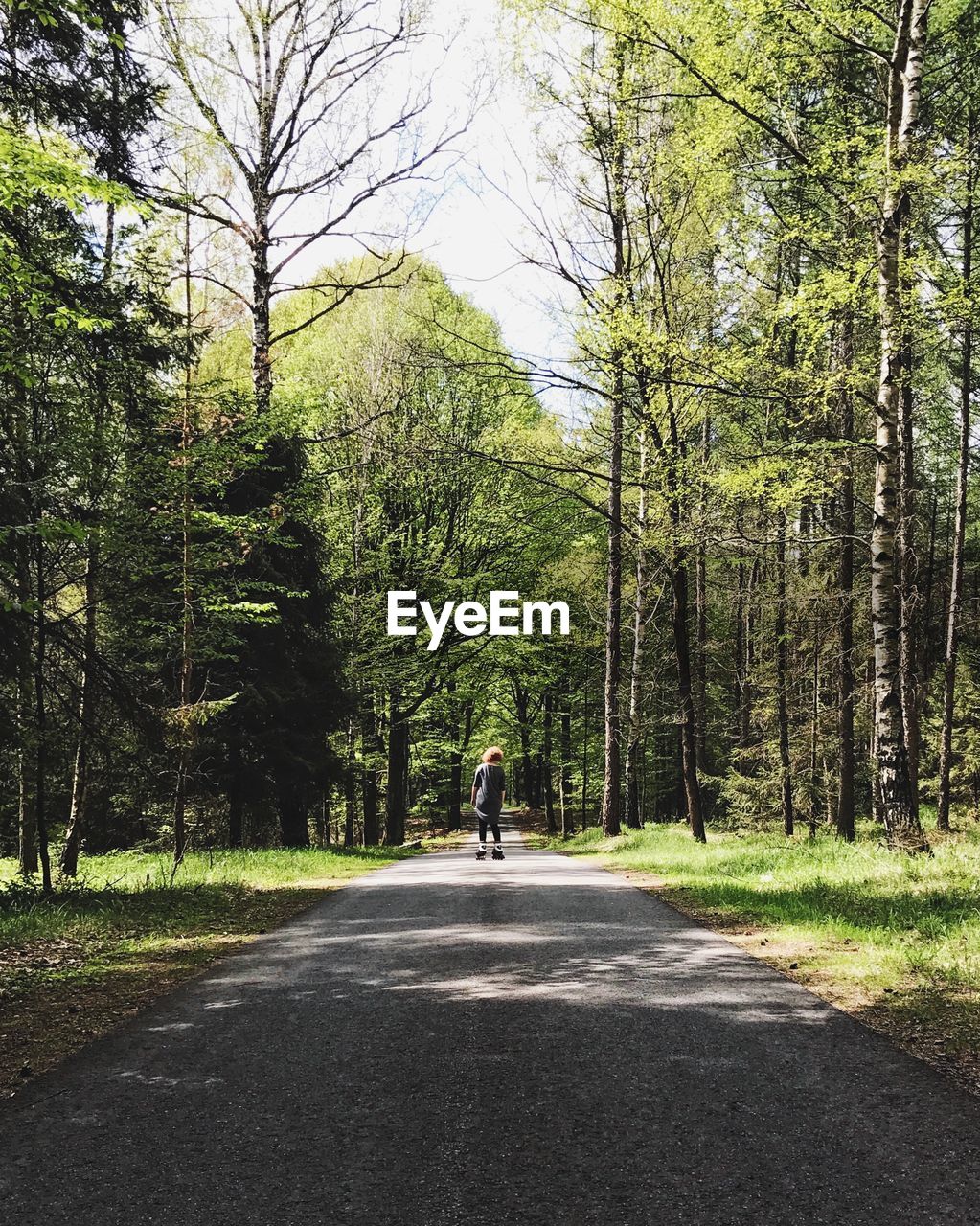 REAR VIEW OF MAN AMIDST TREES IN FOREST