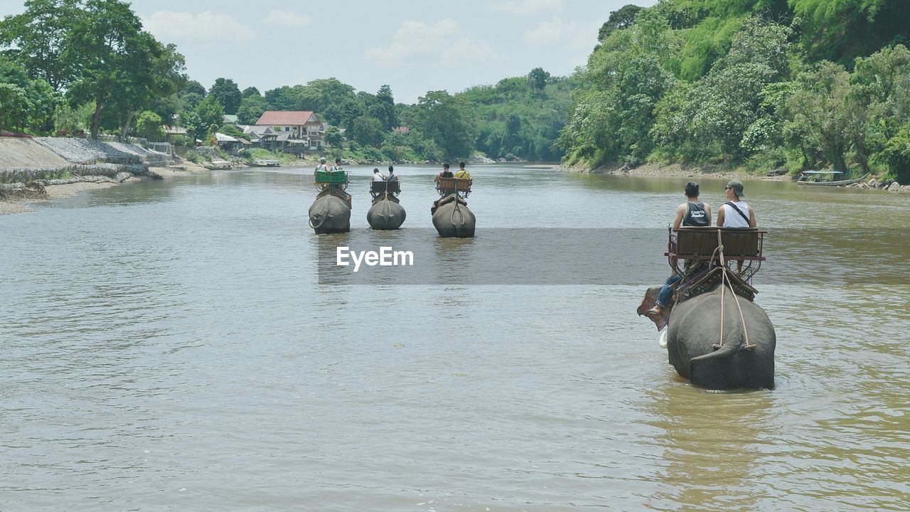 Rear view of people on elephants in river