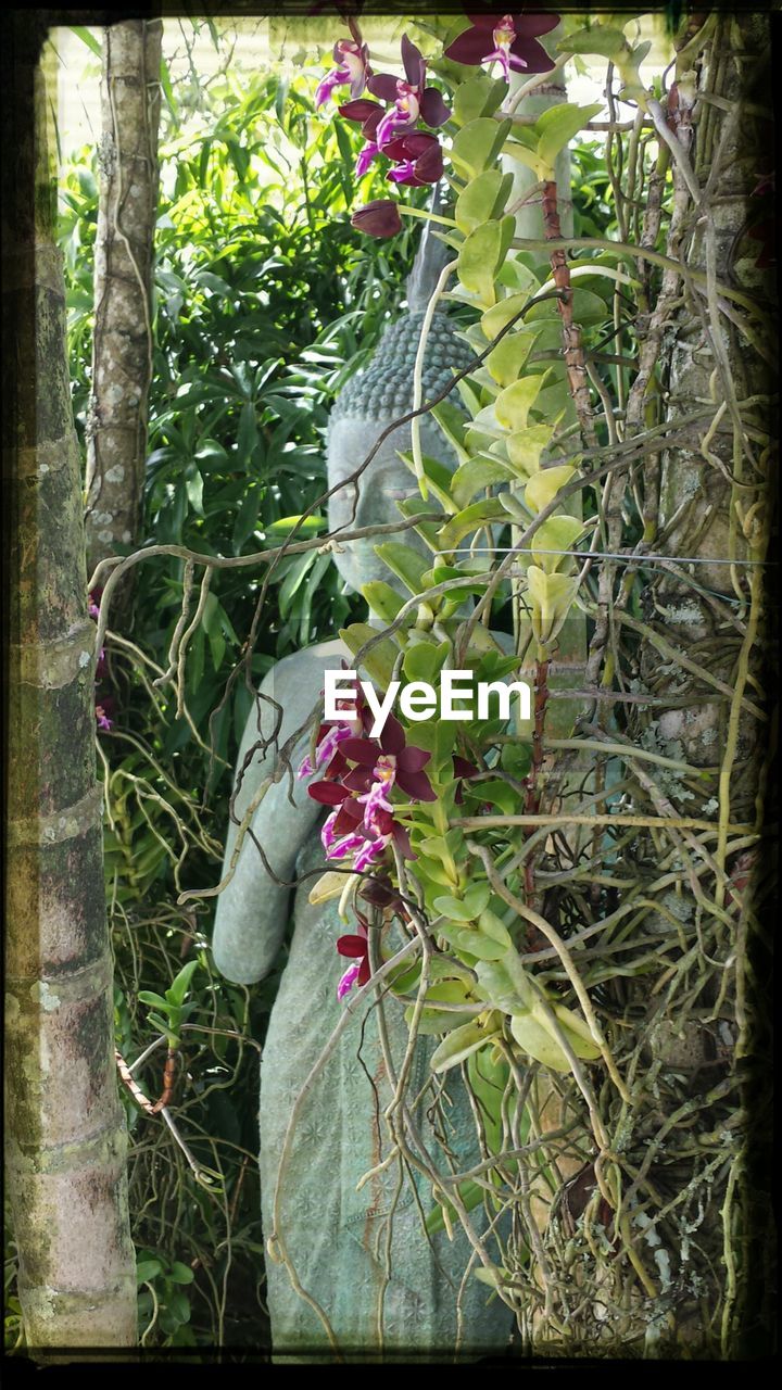 Buddha amidst plants in park