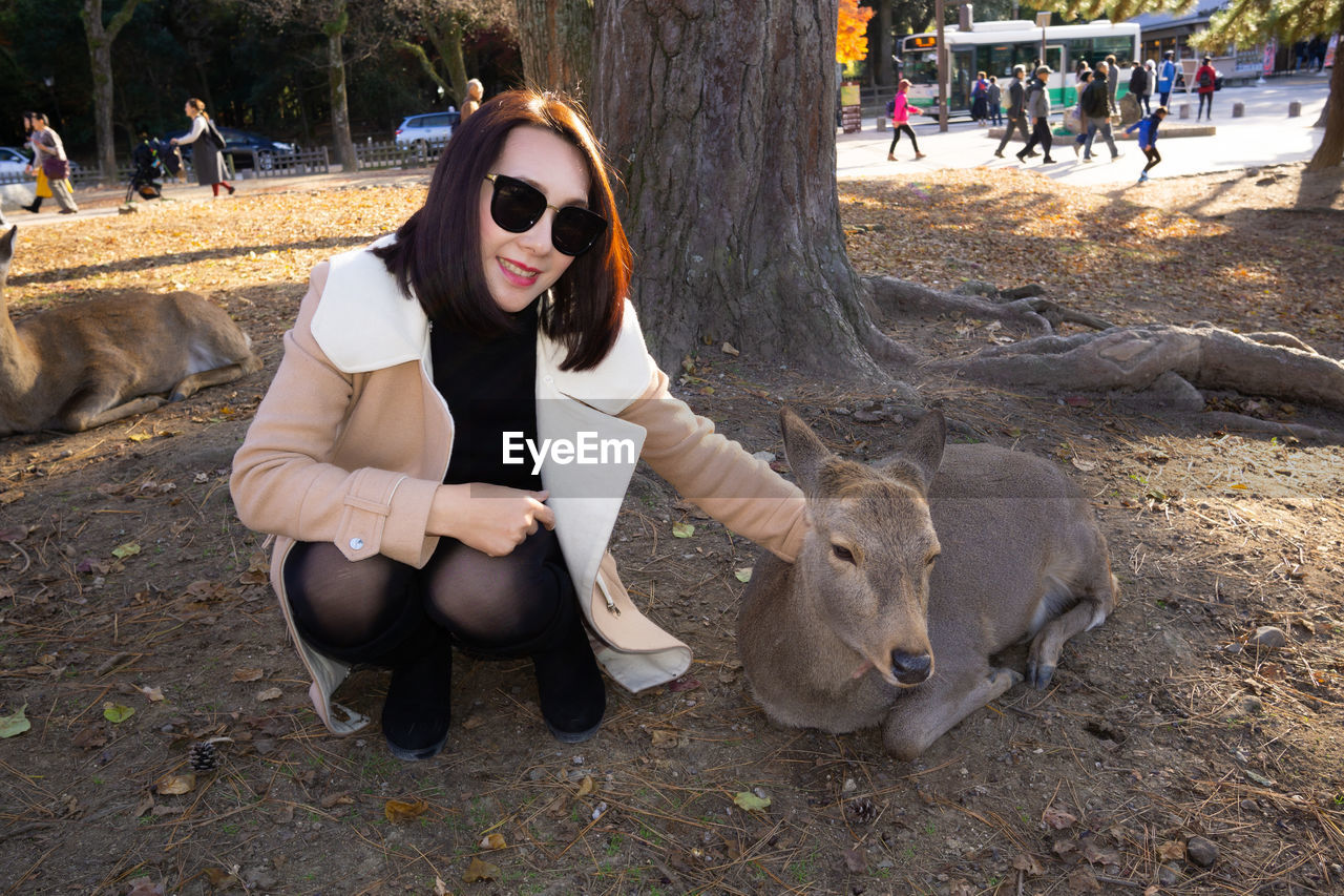 Nara park - a must see scenic spot in nara city established in 1880.