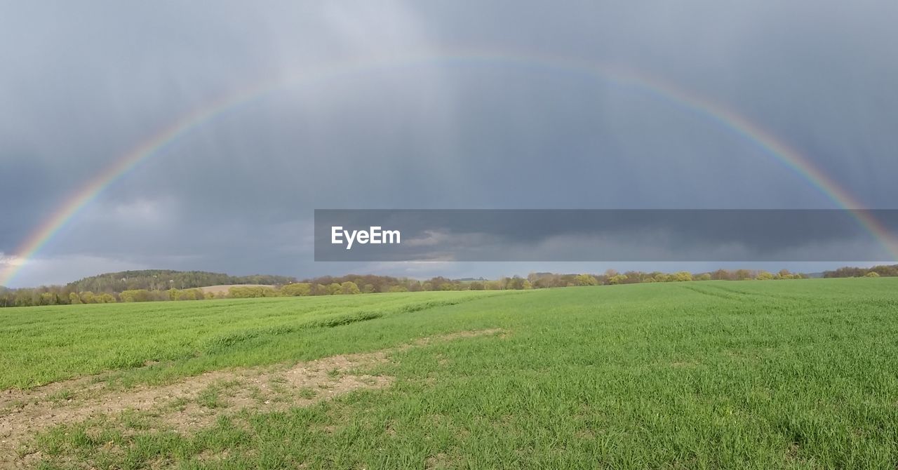 RAINBOW OVER FIELD