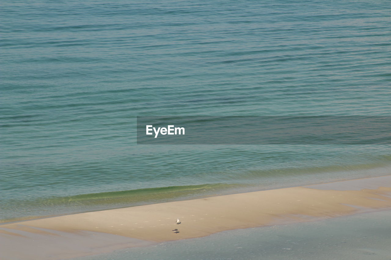 HIGH ANGLE VIEW OF SEA WAVES