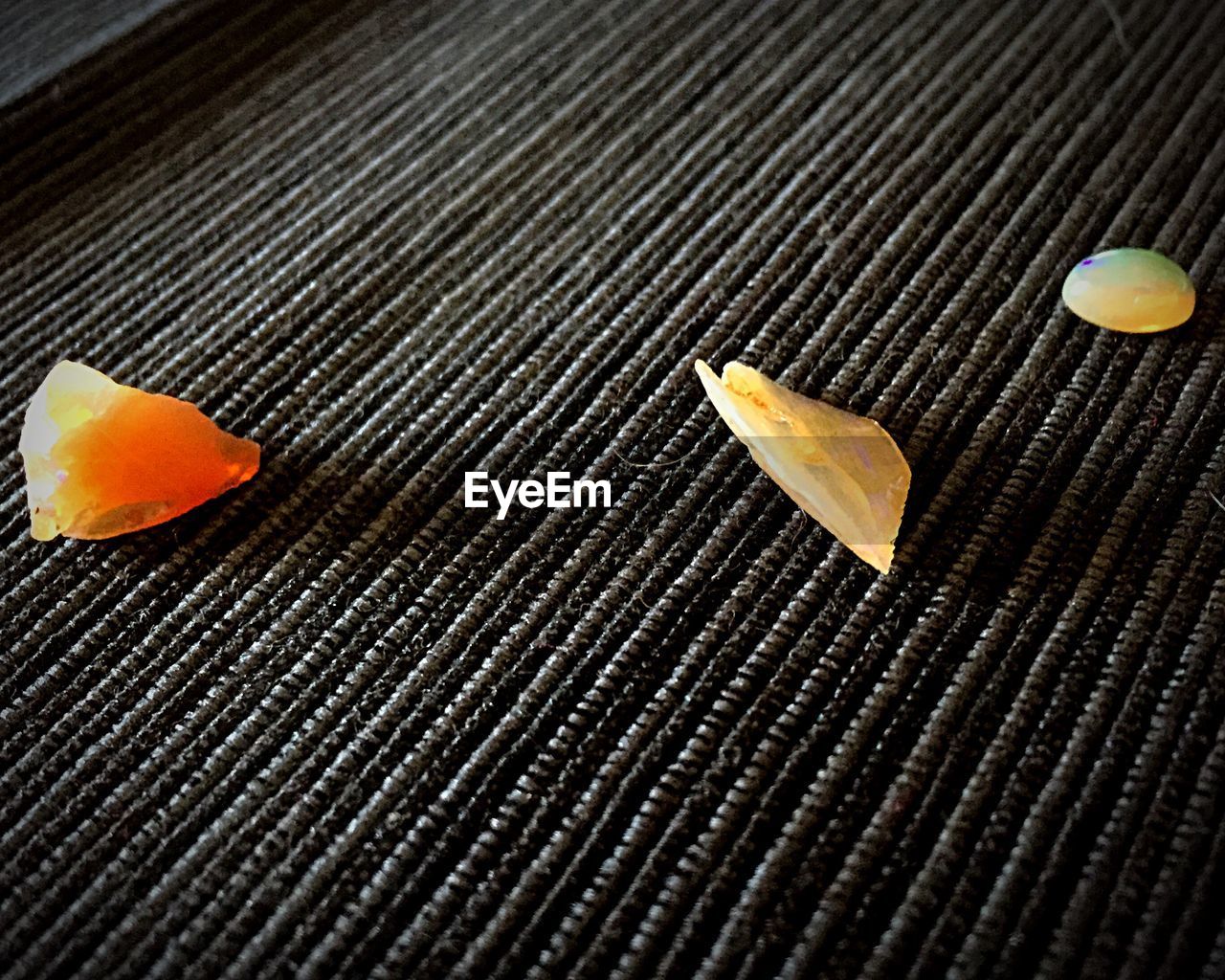 CLOSE-UP OF ORANGE LEAVES