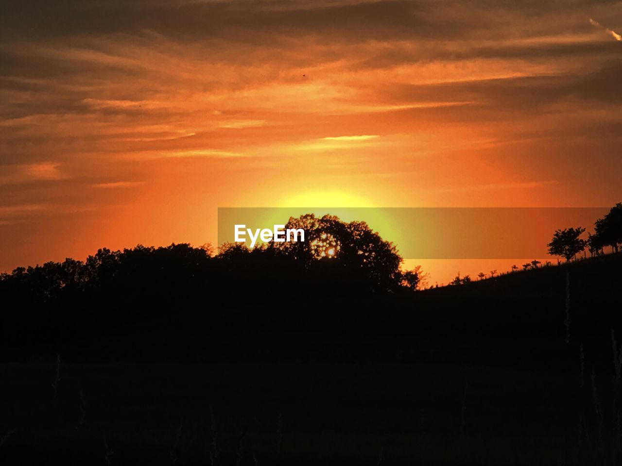 SILHOUETTE TREES ON LANDSCAPE AGAINST SKY DURING SUNSET