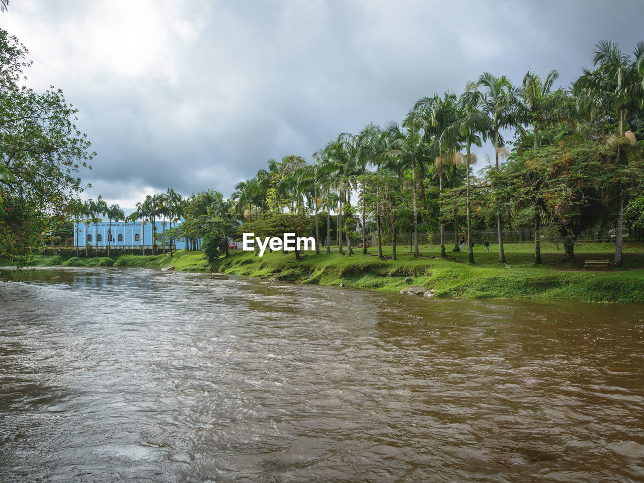 RIVER AMIDST TREES AGAINST SKY